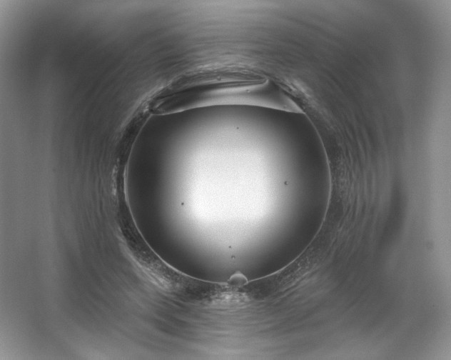 X0000067840543200604171155