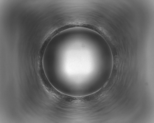 X0000067840544200604171155