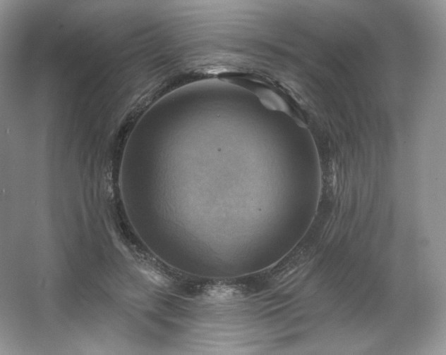 X0000067840547200604171155