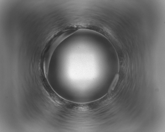 X0000067840548200604171155