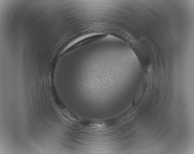 X0000067840552200604171155