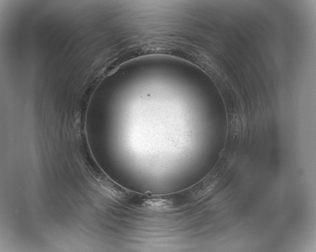 X0000067840557200604171155