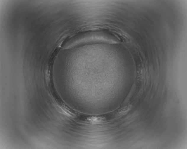 X0000067840558200604171155