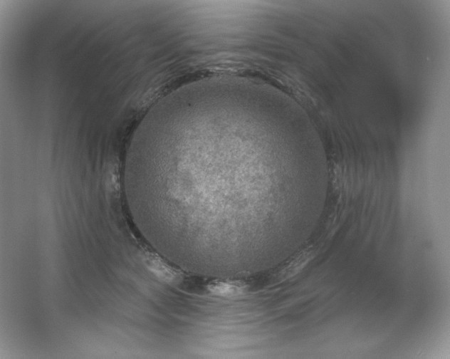 X0000067840561200604171156