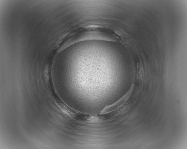 X0000067840562200604171156
