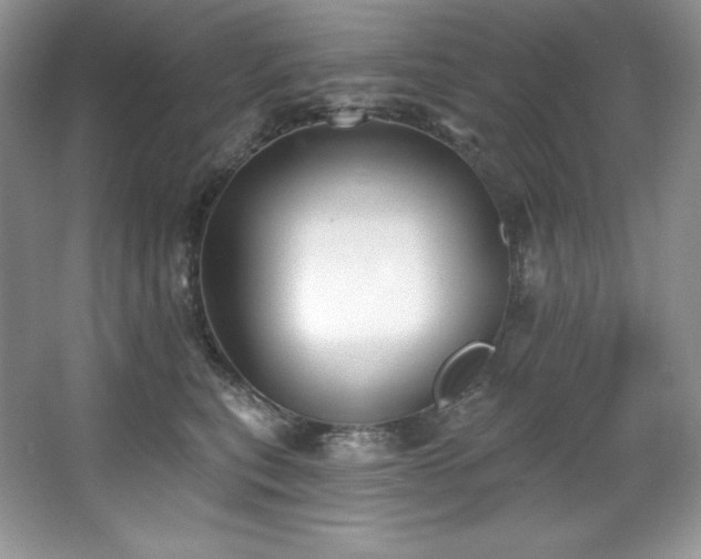 X0000067840567200604171156