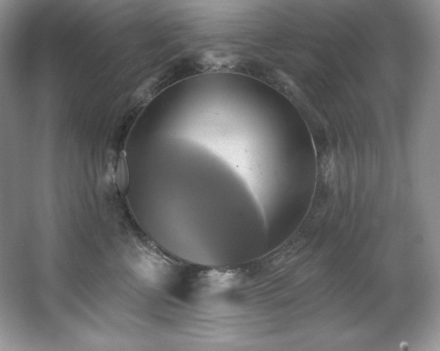X0000067840570200604171156