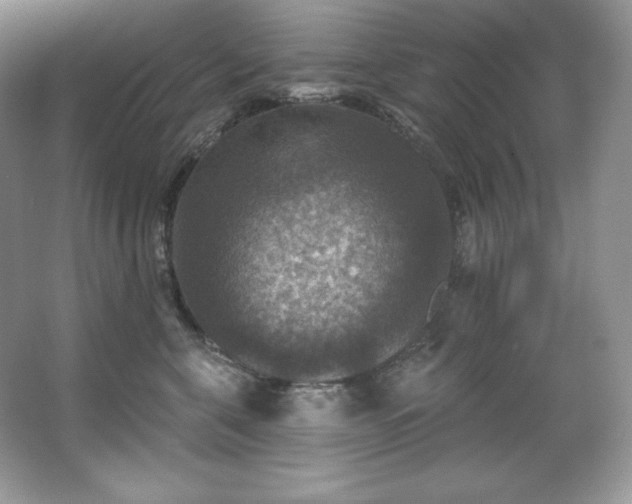 X0000067840571200604171156