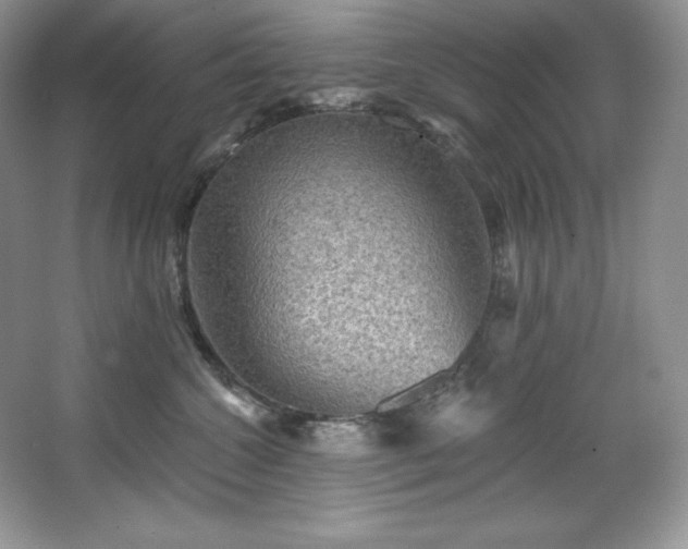 X0000067840572200604171156