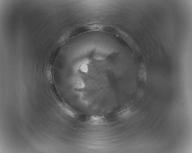 X0000067840573200604171156