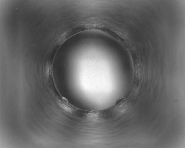 X0000067840574200604171156
