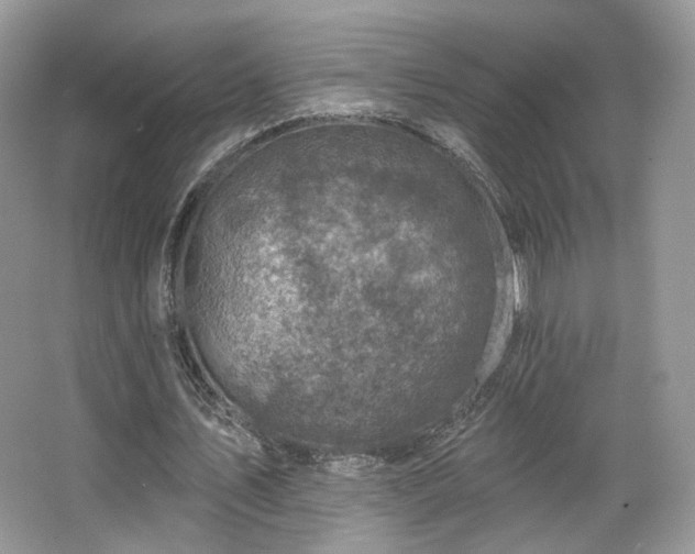 X0000067840579200604171155