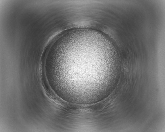 X0000067840583200604171155