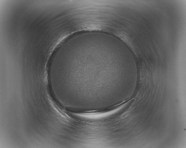 X0000067840584200604171155