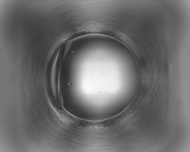 X0000067840586200604171155