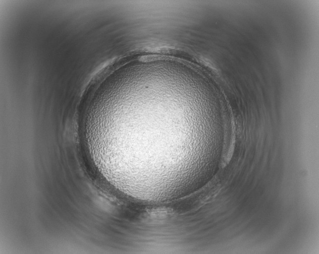 X0000067840587200604171155