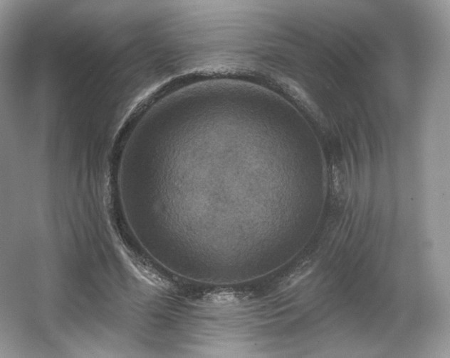 X0000067840588200604171155