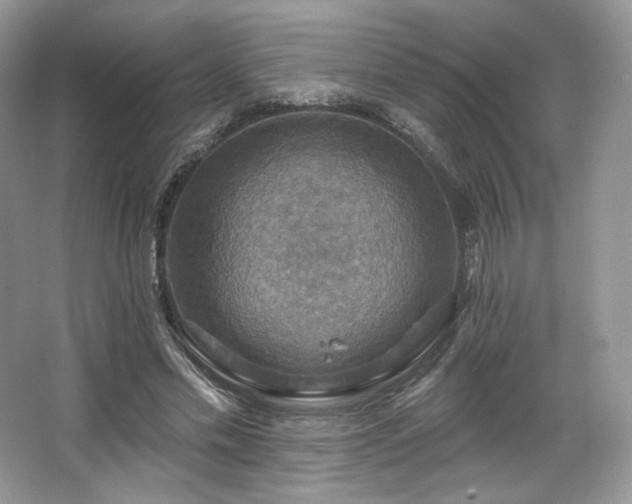 X0000067840589200604171155