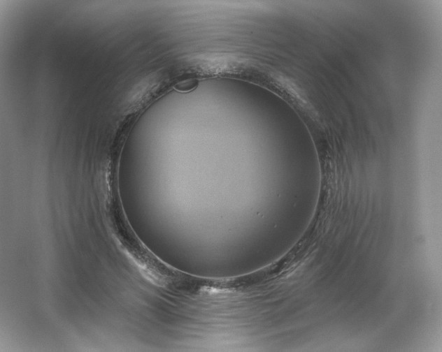 X0000067840590200604171155