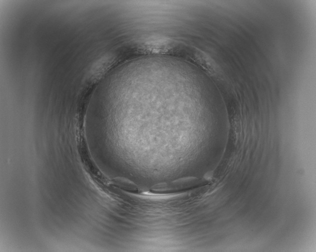 X0000067840594200604171155