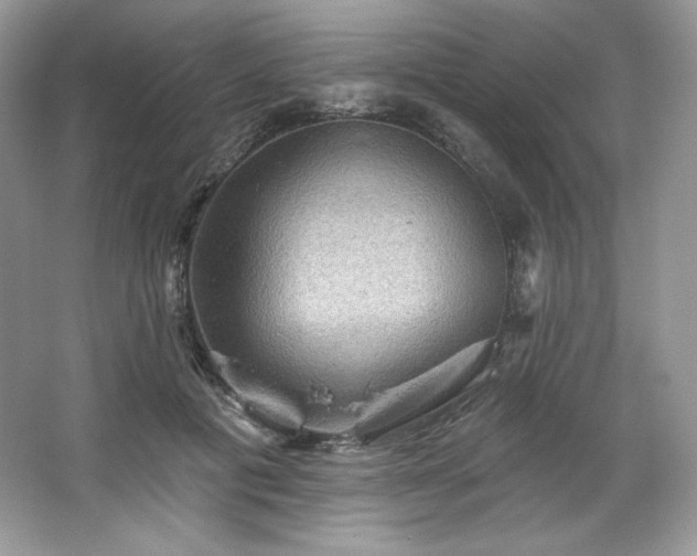 X0000067840601200604171155