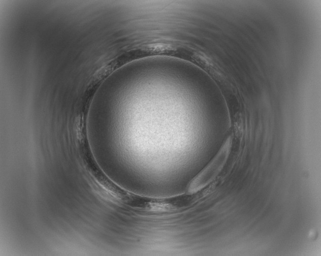 X0000067840605200604171154