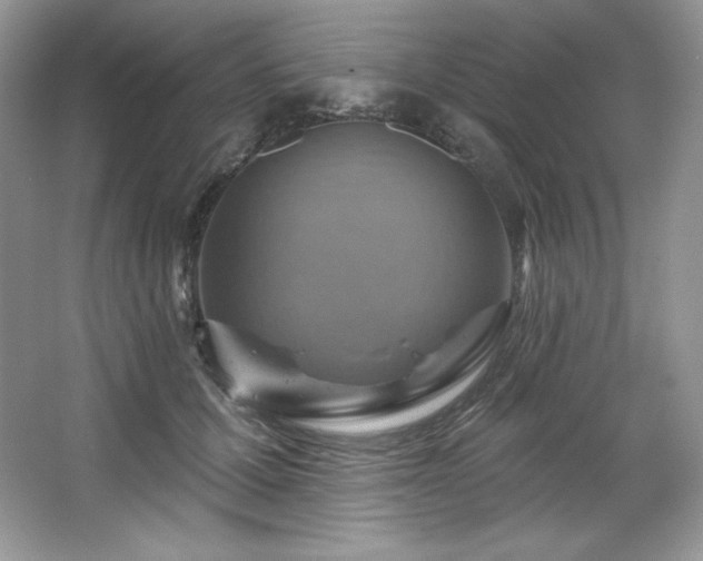 X0000067840607200604171154