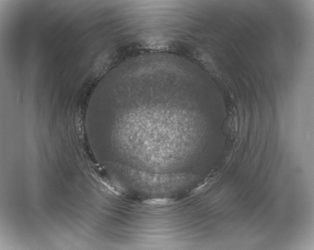 X0000067840609200604171154