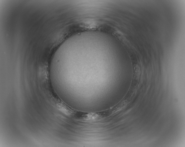X0000067840612200604171154