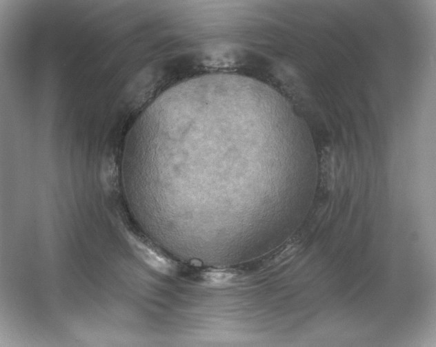 X0000067840614200604171154