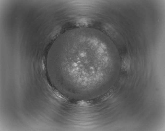 X0000067840616200604171154