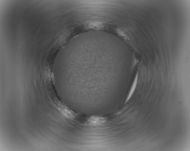 X0000067840617200604171154