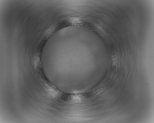 X0000067840618200604171154
