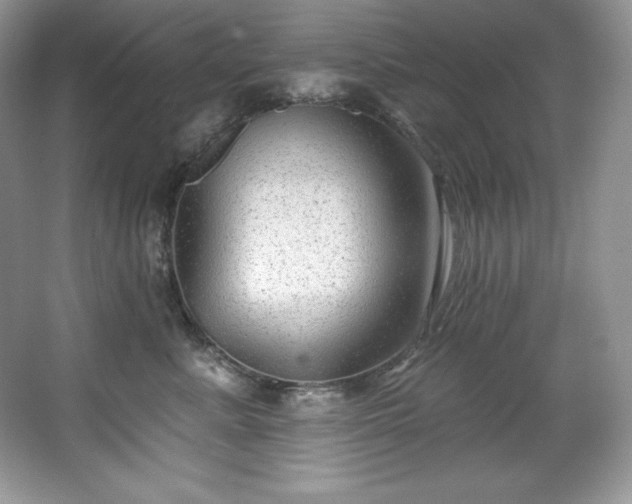 X0000067840619200604171154