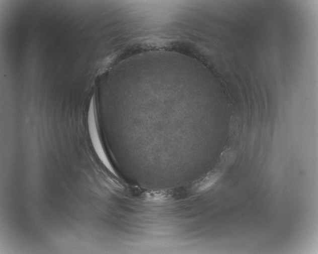 X0000067840624200604171154