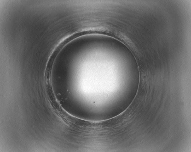X0000067840628200604171153