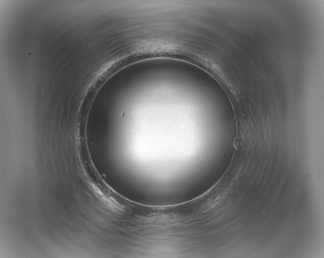 X0000067840629200604171153