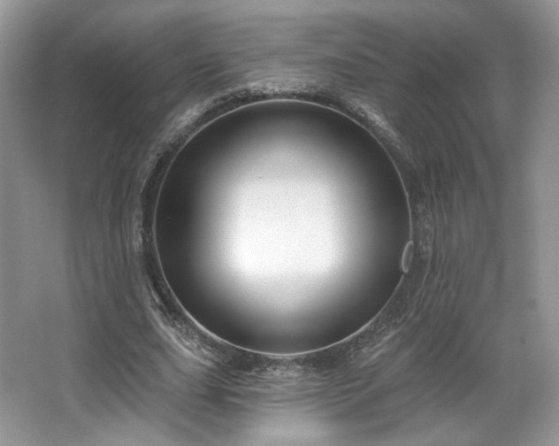 X0000067840631200604171153