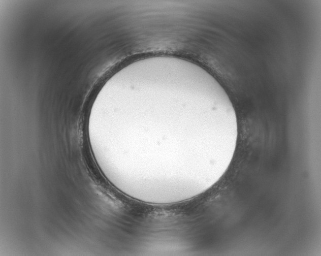 X0000067840632200604171153
