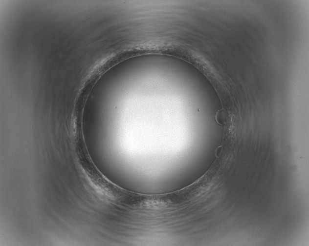 X0000067840636200604171154