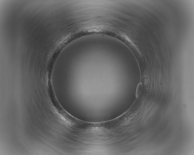 X0000067840637200604171154