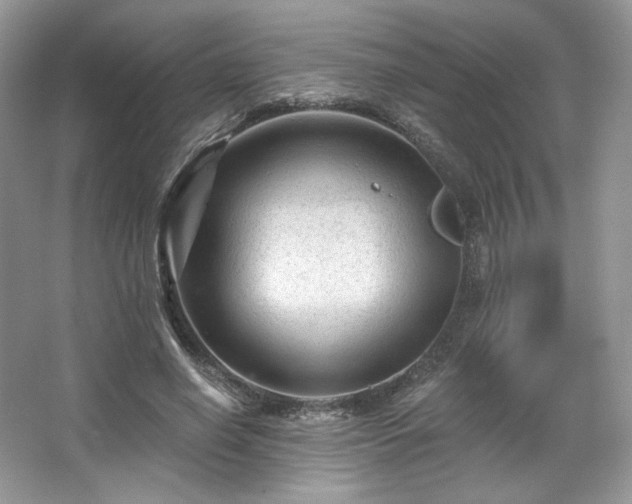 X0000067840638200604171154