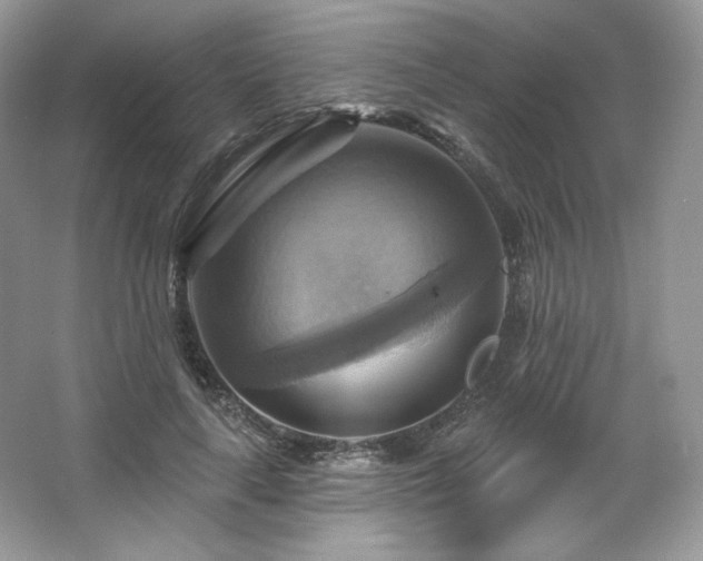 X0000067840643200604171154
