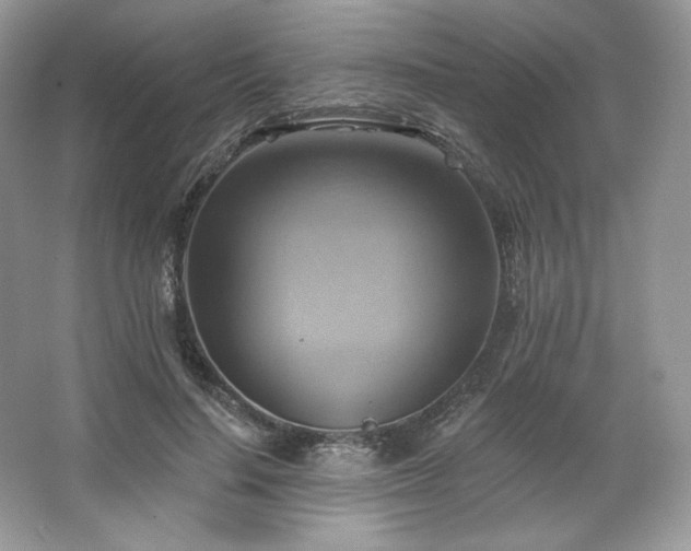 X0000067840644200604171154
