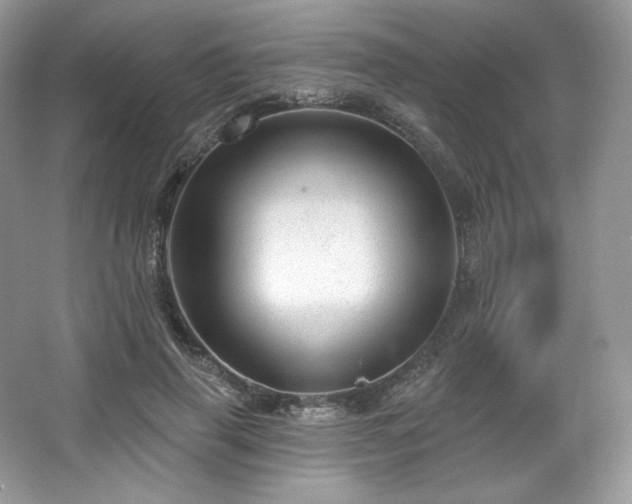 X0000067840645200604171154