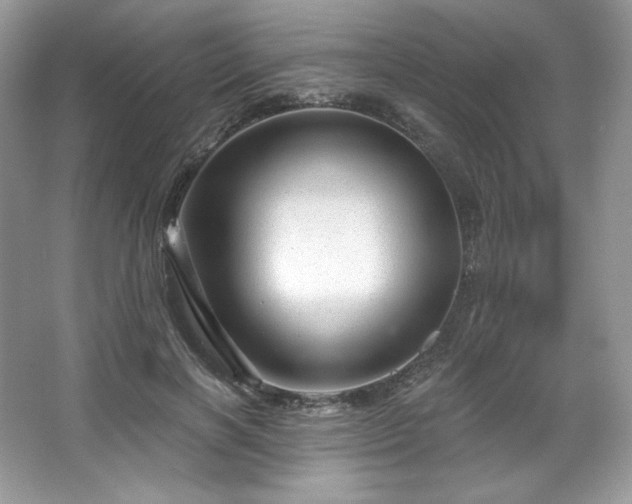 X0000067840646200604171154