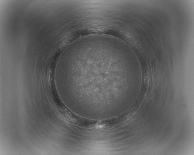 X0000067840647200604171154