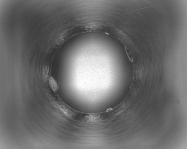 X0000067840660200604171154