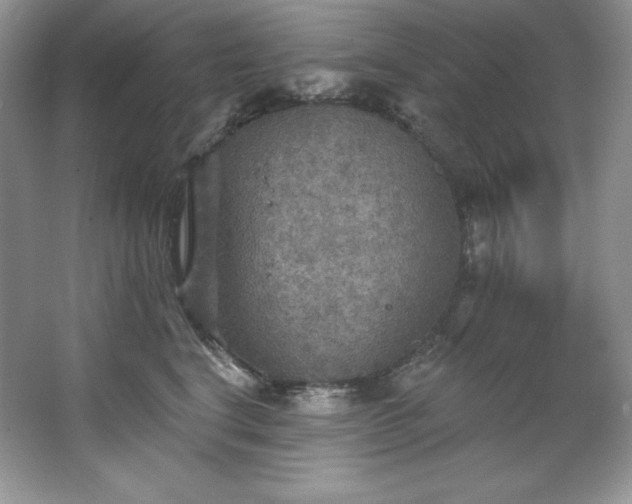 X0000067840664200604171154