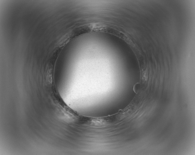X0000067840666200604171154